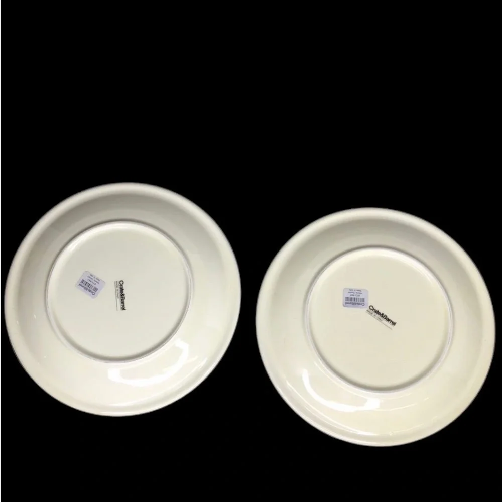 2 VTG Crate & Barrel VOLANTE 8 7/8” Salad Plates NWT